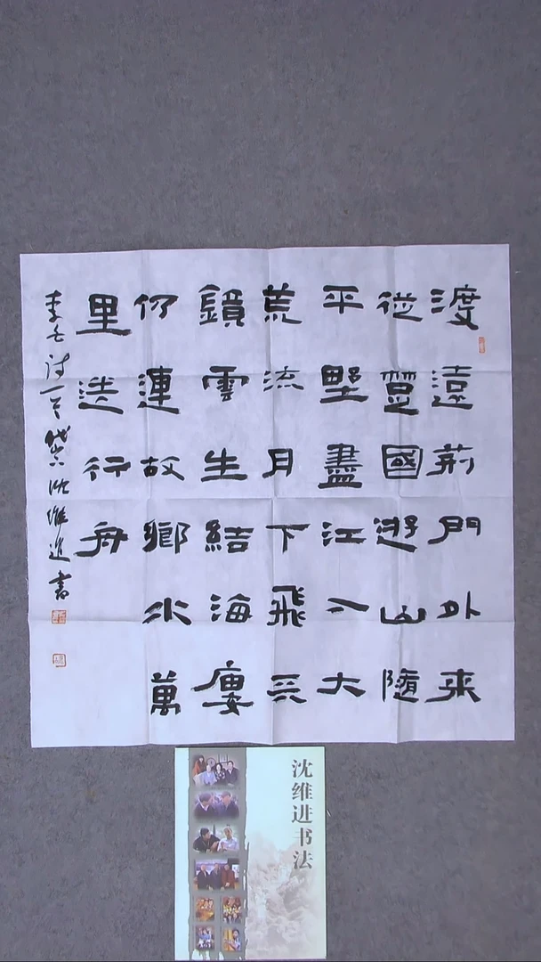 书法沈维进 山东69*69（6）