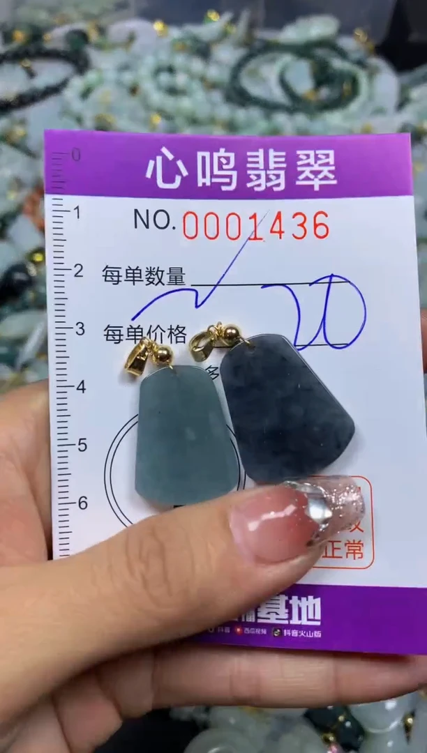 【闪购商品】翡翠颈饰未镶嵌闪购001436