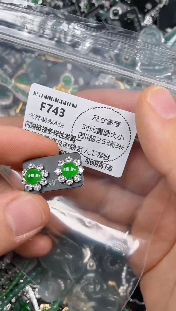 颈饰未镶嵌翡翠F743耳钉