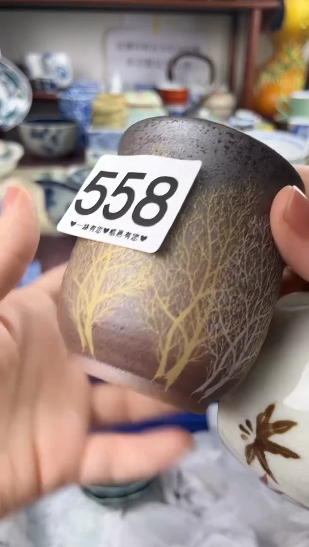 改***?558..........