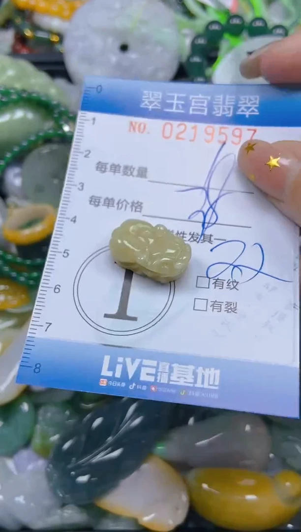 颈饰未镶嵌翡翠闪购C0219597