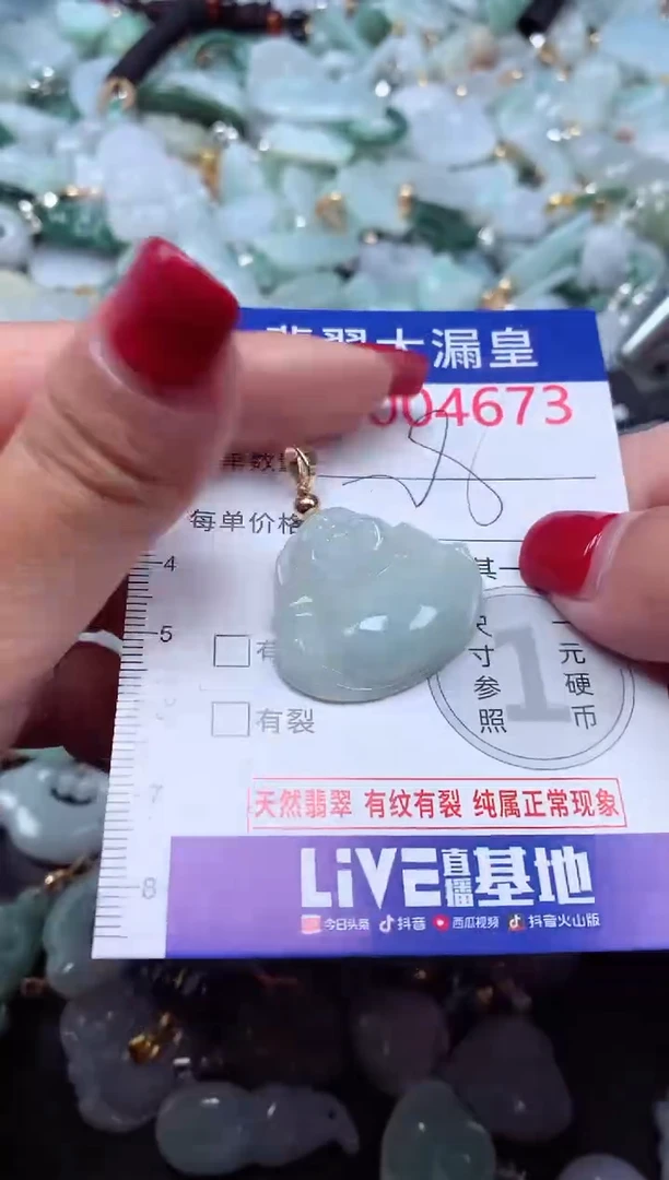 颈饰未镶嵌翡翠4673