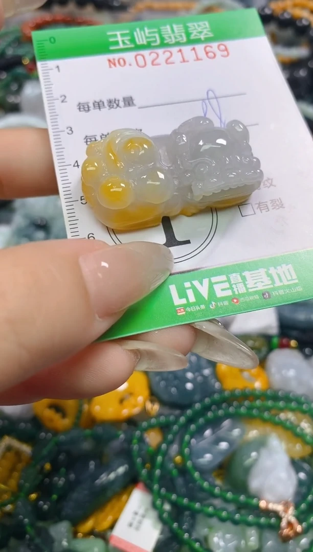 颈饰未镶嵌翡翠闪购0221169
