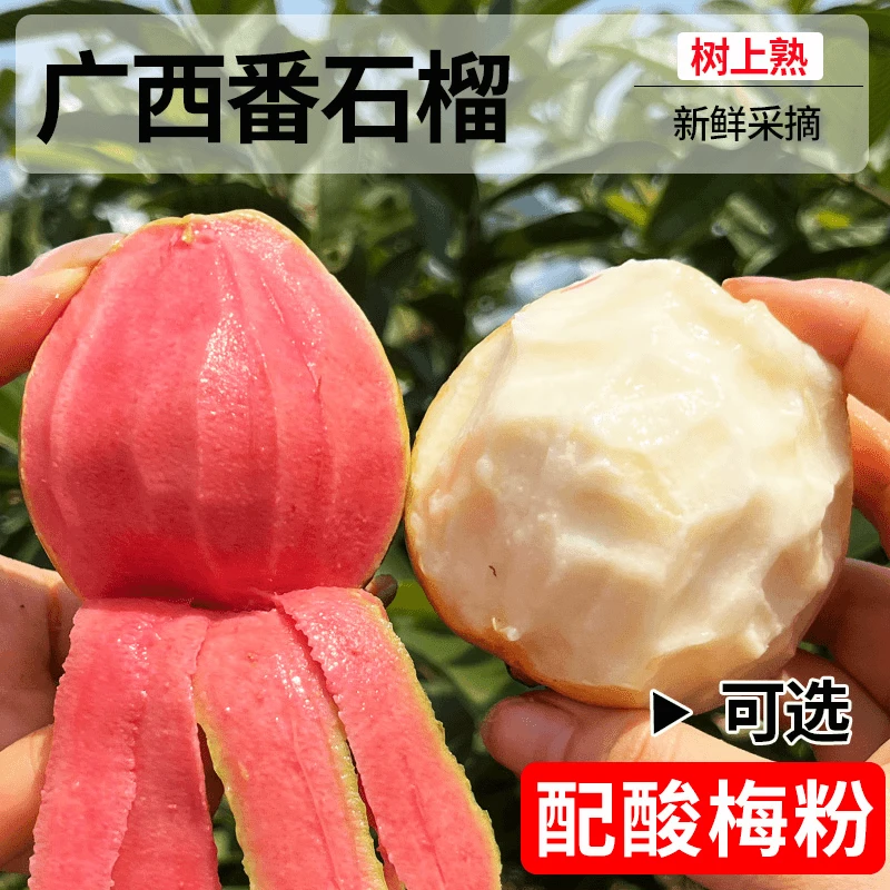 广西当季软糯红白心芭乐新鲜水果番石榴脆甜软糯芭乐