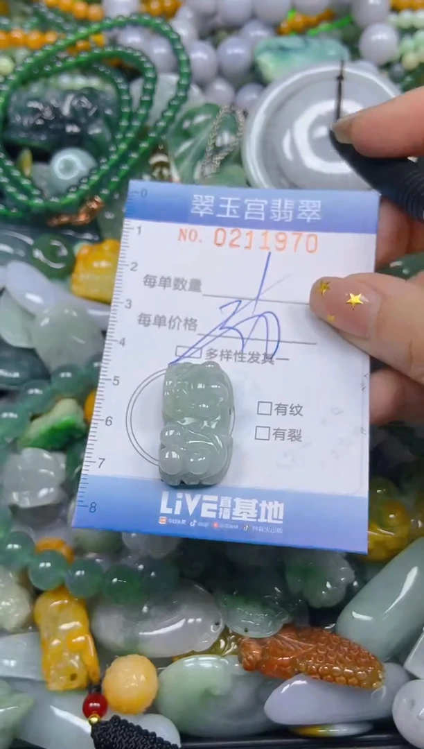 颈饰未镶嵌翡翠闪购C0211970多样性发其一
