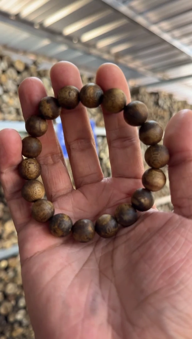 沉香手串海南沉香12mm圆珠单圈手串12g+沉水浮 多样性发一