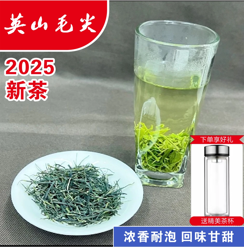 2025年新茶英山直条毛尖浓香回甘回甜