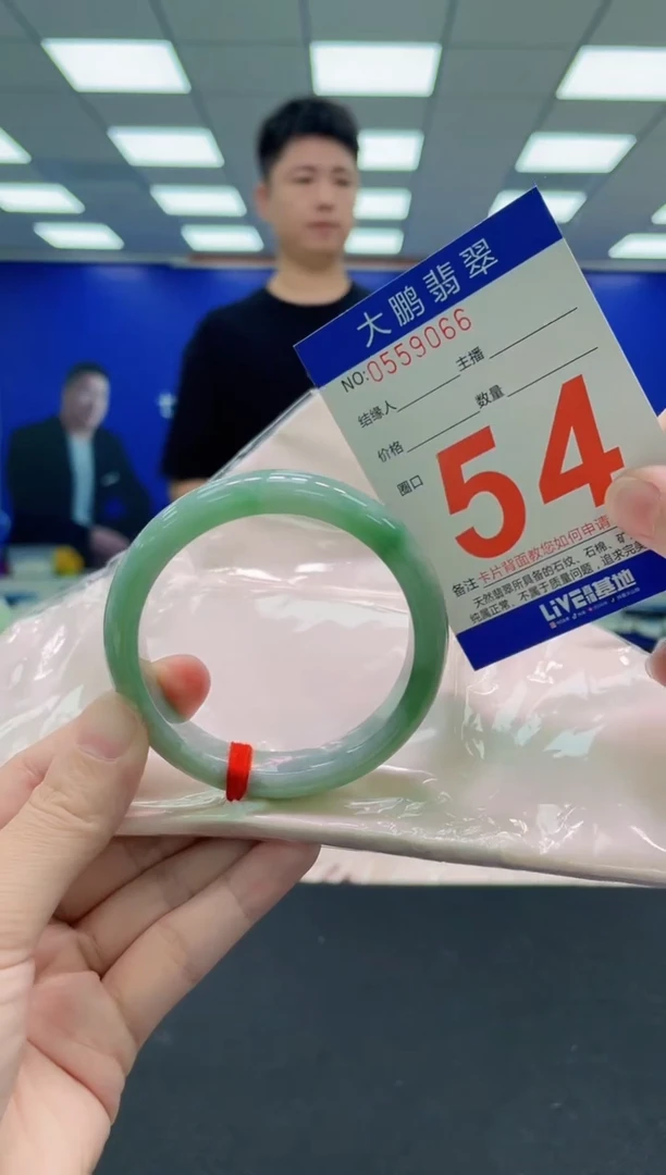 未镶嵌手镯翡翠AAAAAAAAA