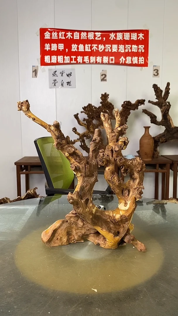香榧木D*M金丝红木 羊蹄甲