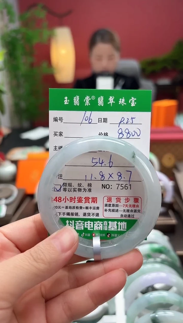 未镶嵌手镯翡翠翡翠106
