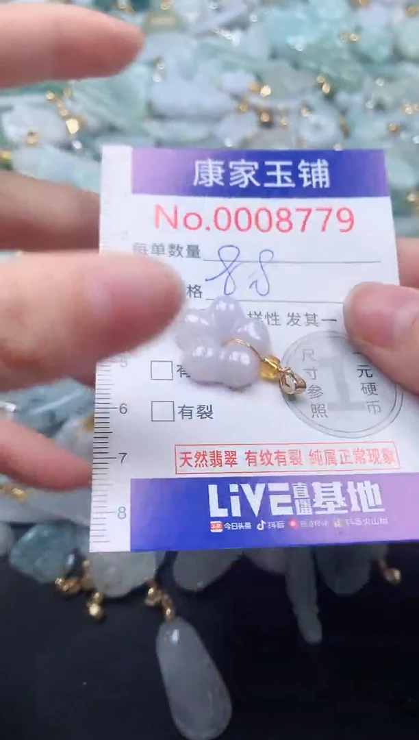 颈饰未镶嵌翡翠8779