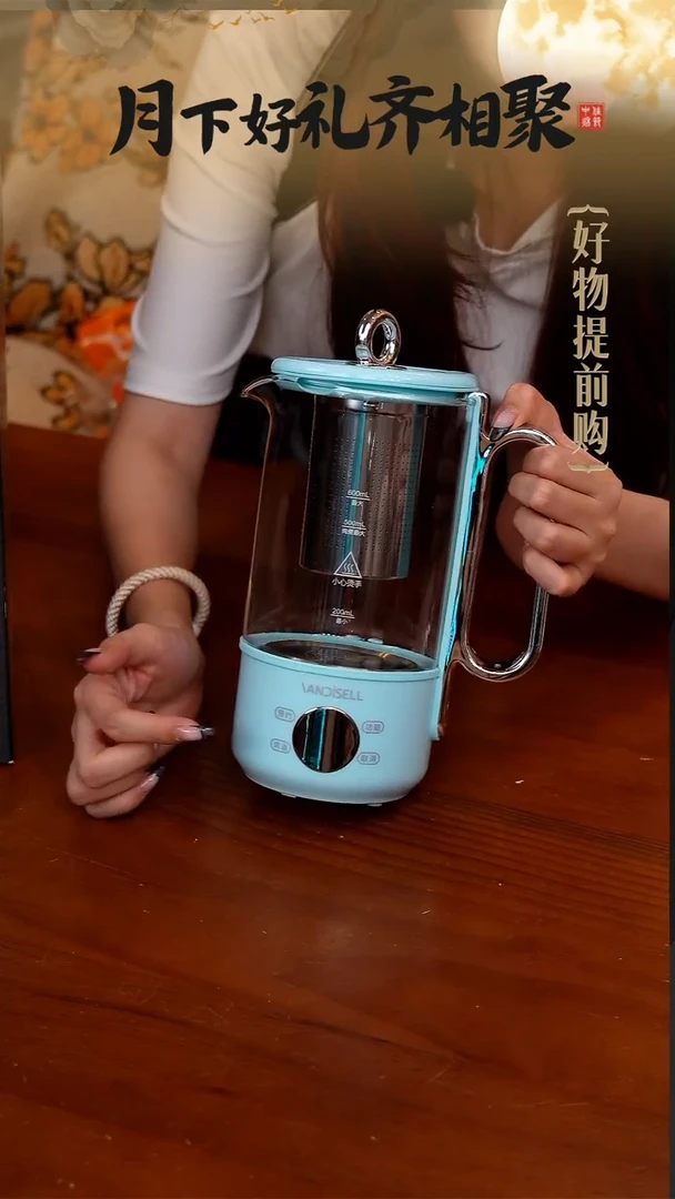 167-钛养生壶小型迷你煮茶壶600mL