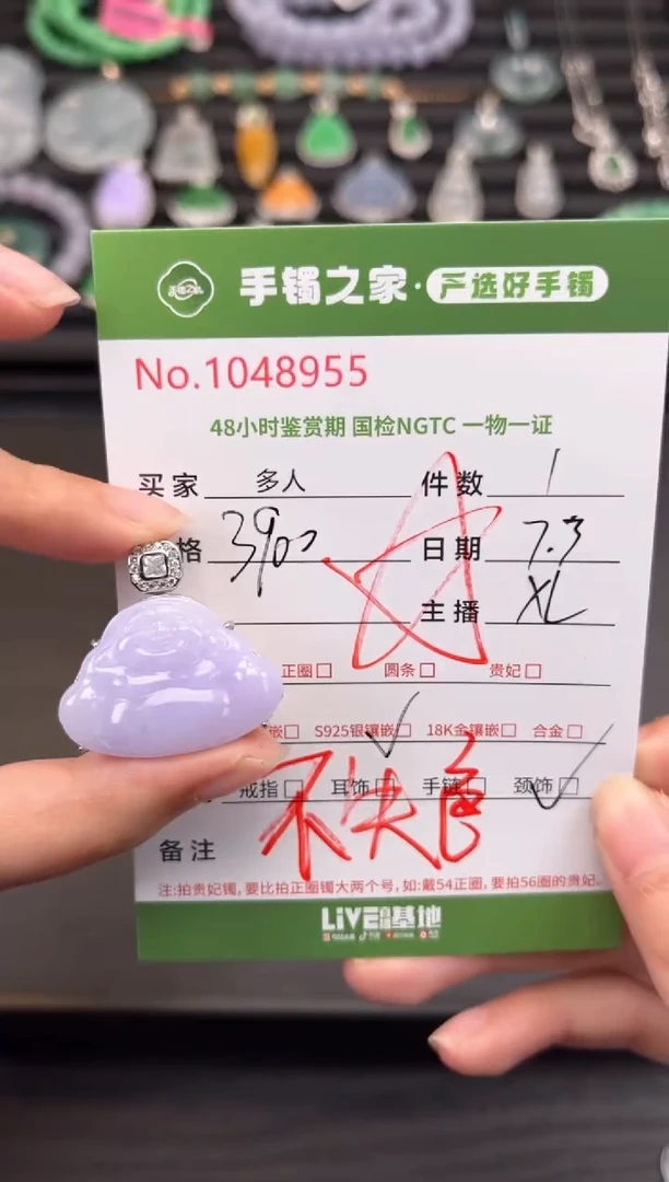 翡翠银S925镶嵌颈饰多人