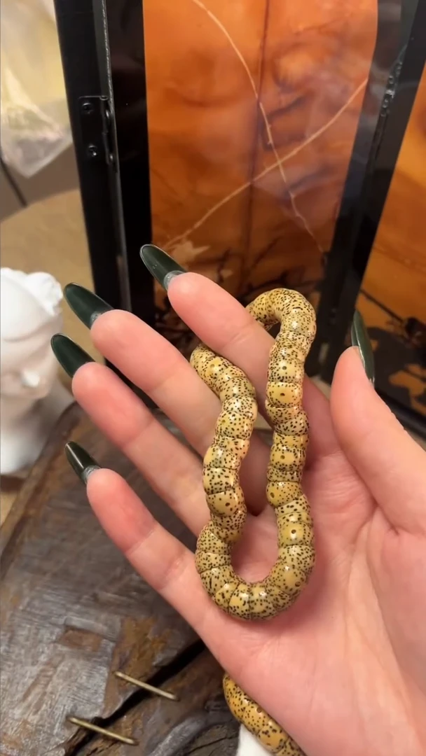 手串星月菩提精工级陈籽桶形大肠手持（B）