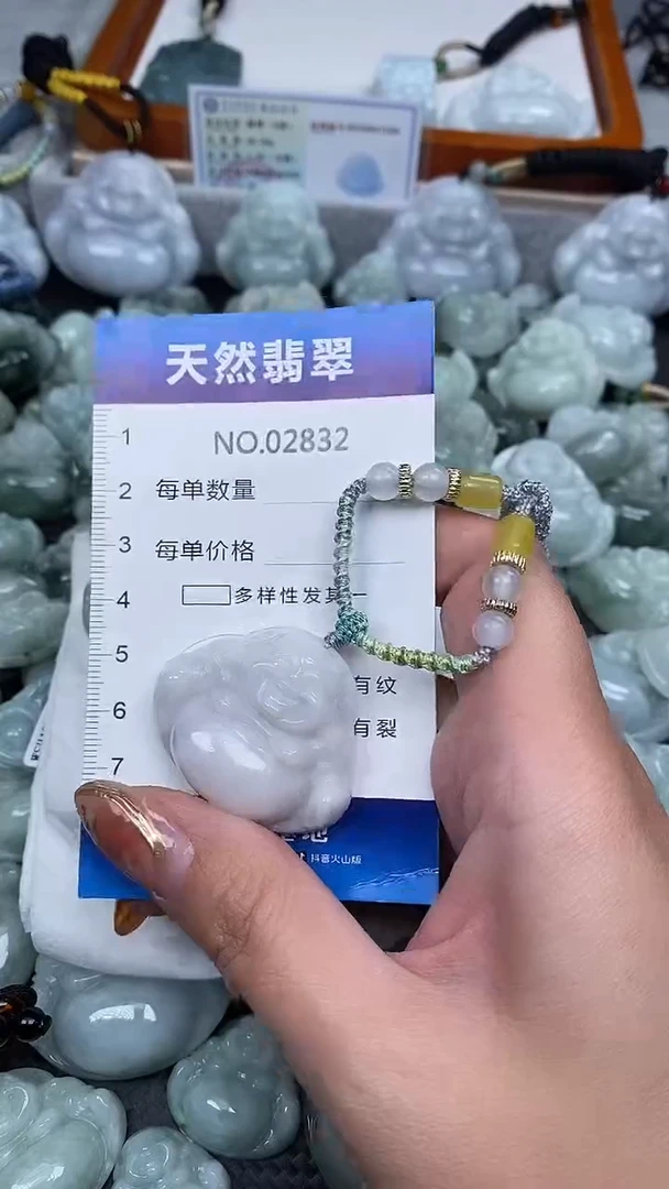 颈饰未镶嵌翡翠纯天然A货翡翠2832