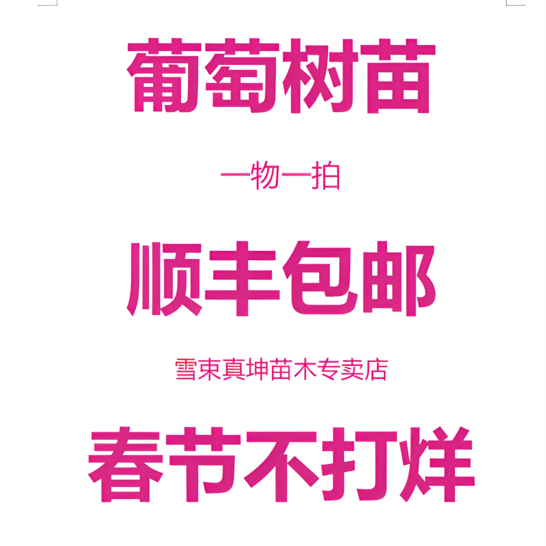 【顺丰包邮】直播间葡萄苗一物一拍南方北方盆栽地栽阳台小院都可种