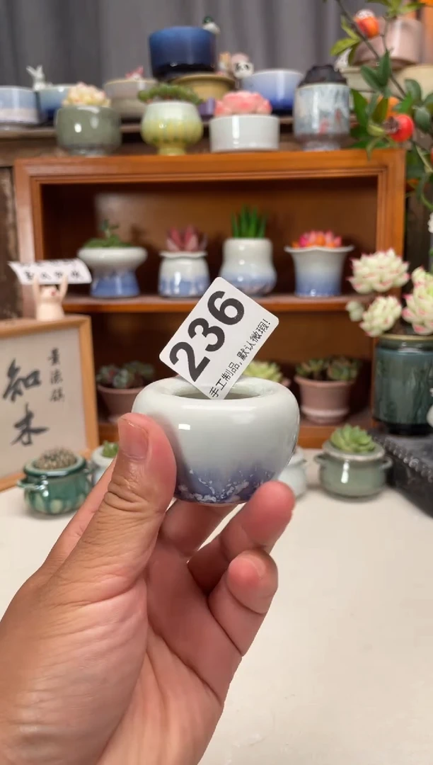 瓷片236知木小芳花盆