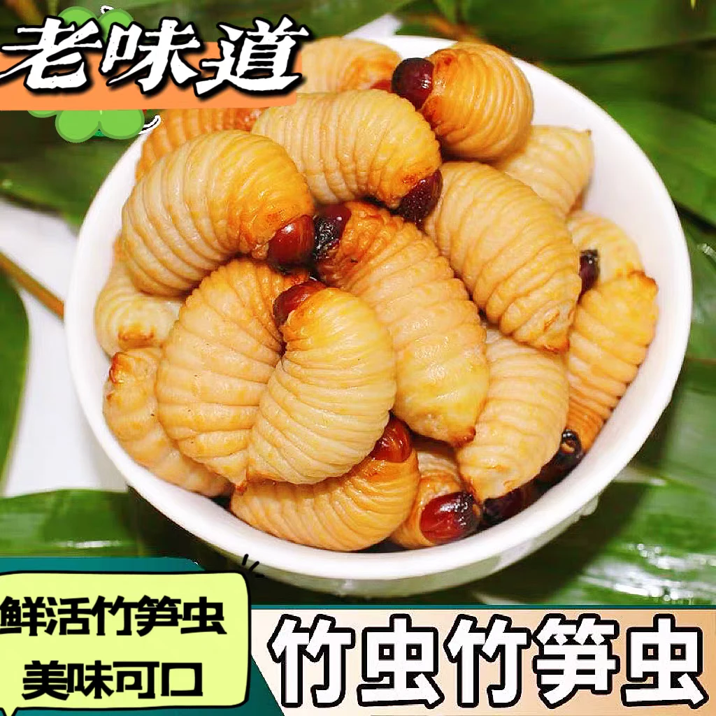 活体竹笋虫鲜活竹子虫油炸椒盐好吃美味顺丰快递包邮