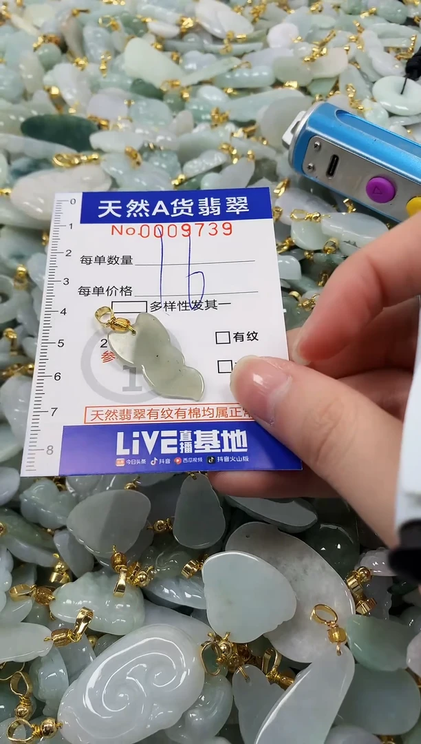 颈饰未镶嵌翡翠纯天然a货翡翠