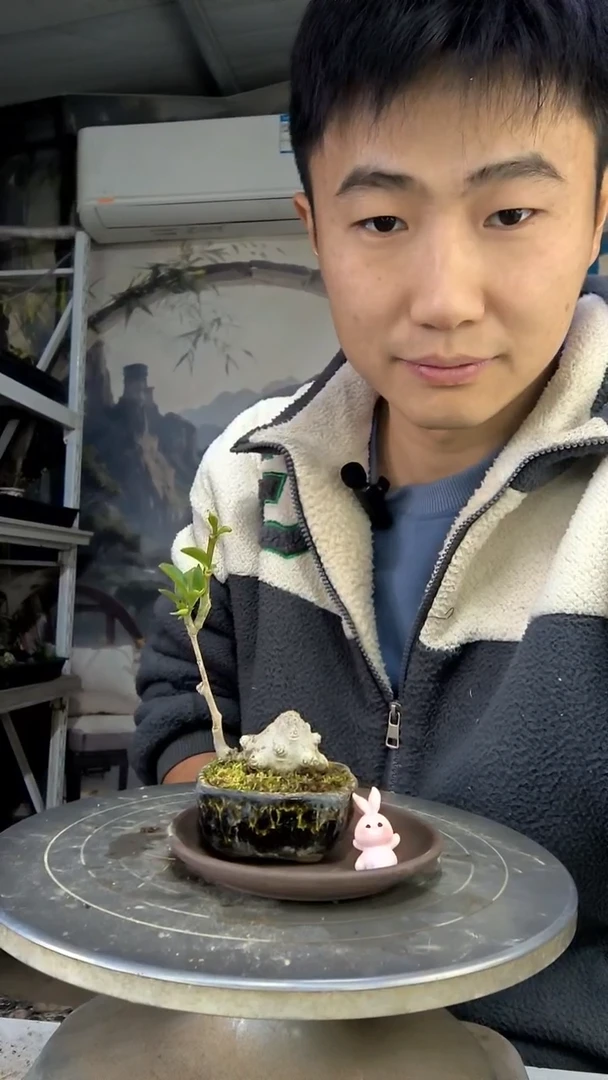 让***吗中青园艺一物一拍花48