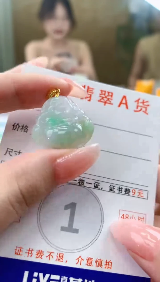 颈饰未镶嵌翡翠天然A货翡翠挂件