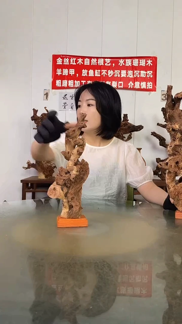 香榧木肇****司金丝红木   羊蹄甲