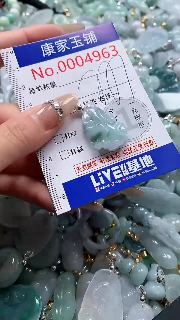 翡翠未镶嵌吊坠(不含链)4963