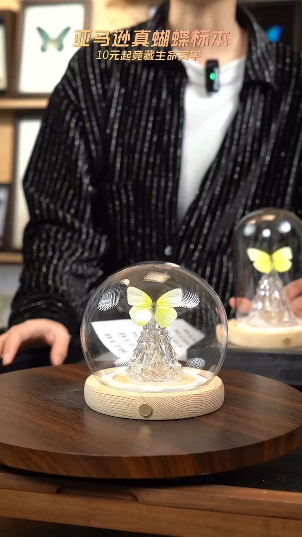 迁粉蝶圣诞灯款 玻璃球款