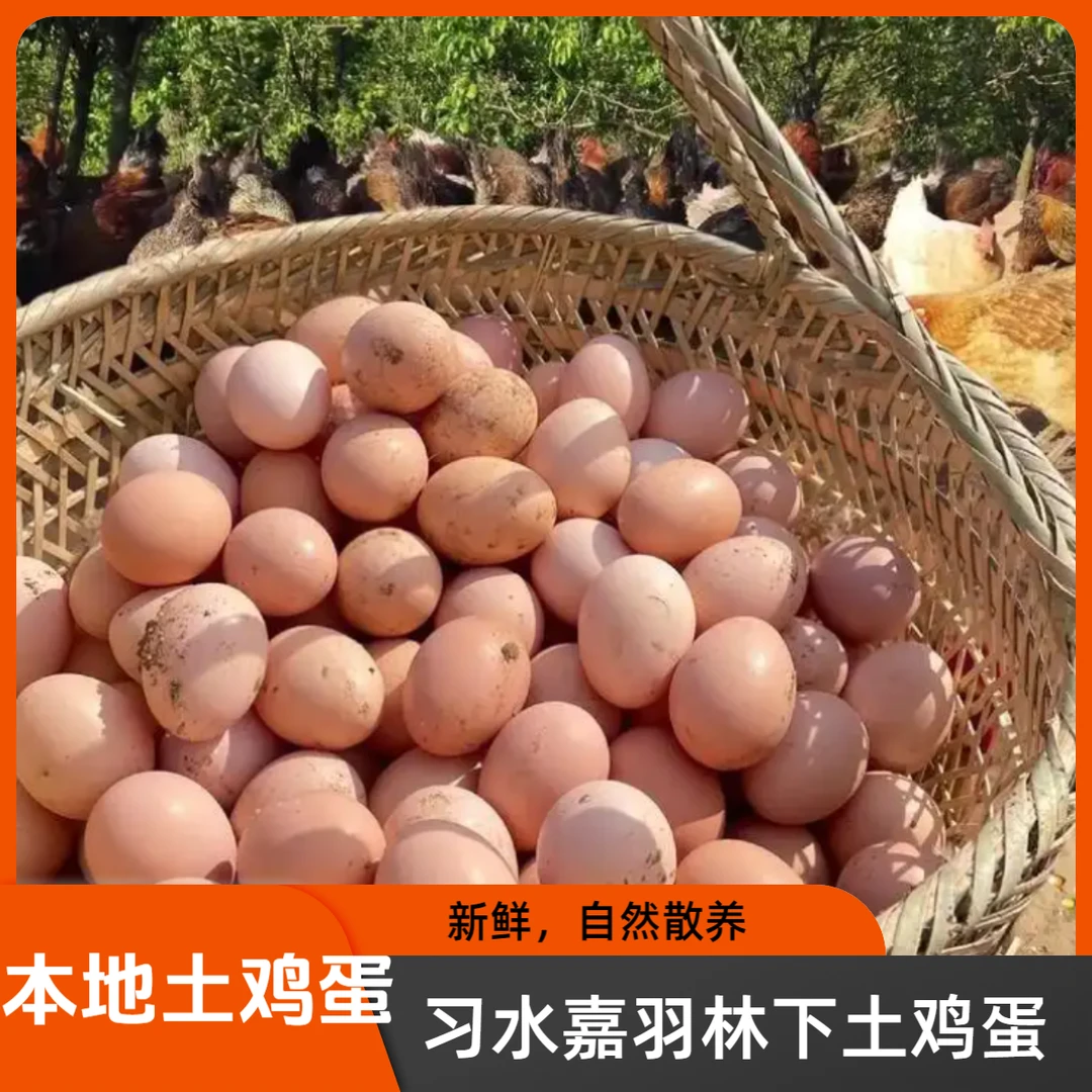 本地（习水）土鸡蛋林下散养（习水嘉羽牧业）15个