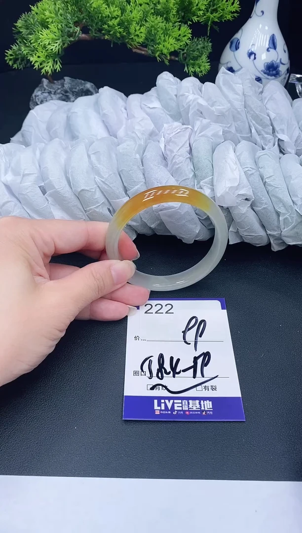 未镶嵌手镯翡翠222