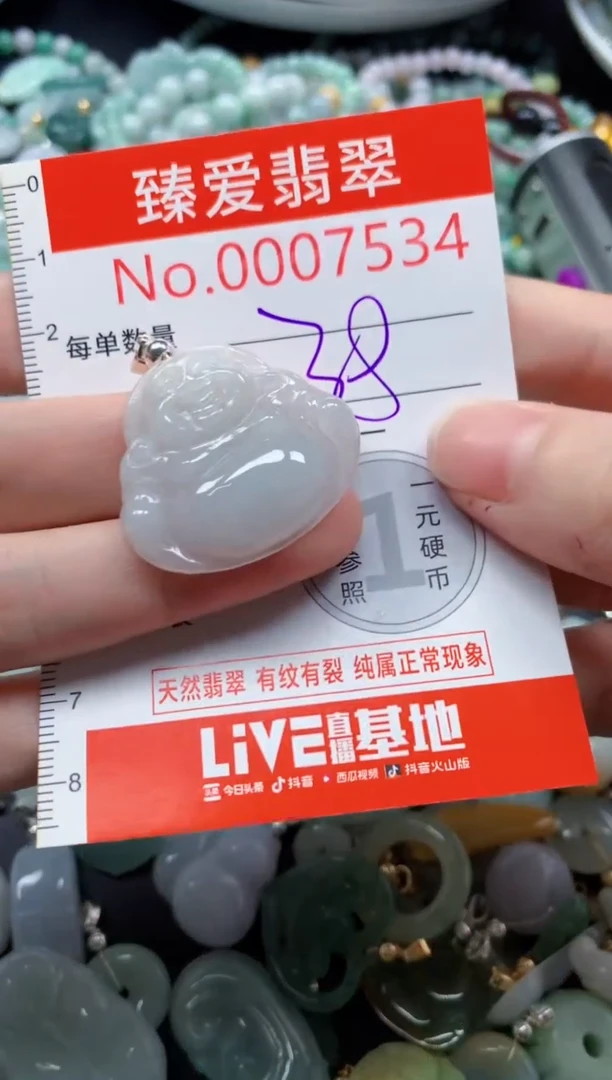 翡翠未镶嵌吊坠(不含链)7534