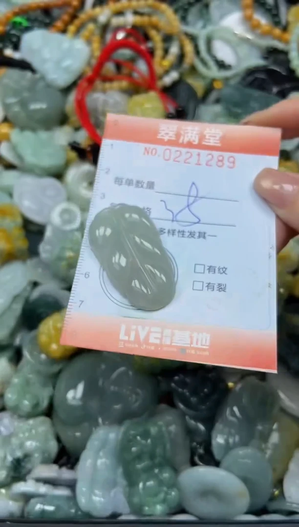 颈饰未镶嵌翡翠闪购0221289