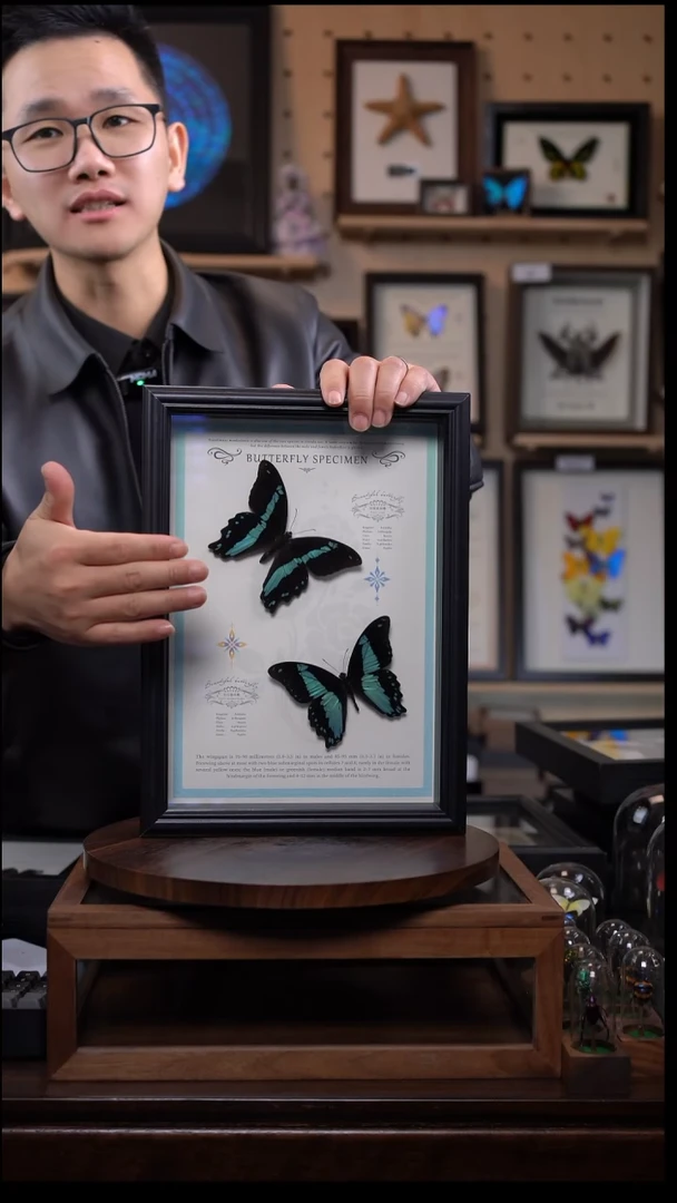 玉石+绿霓德组合10寸竖