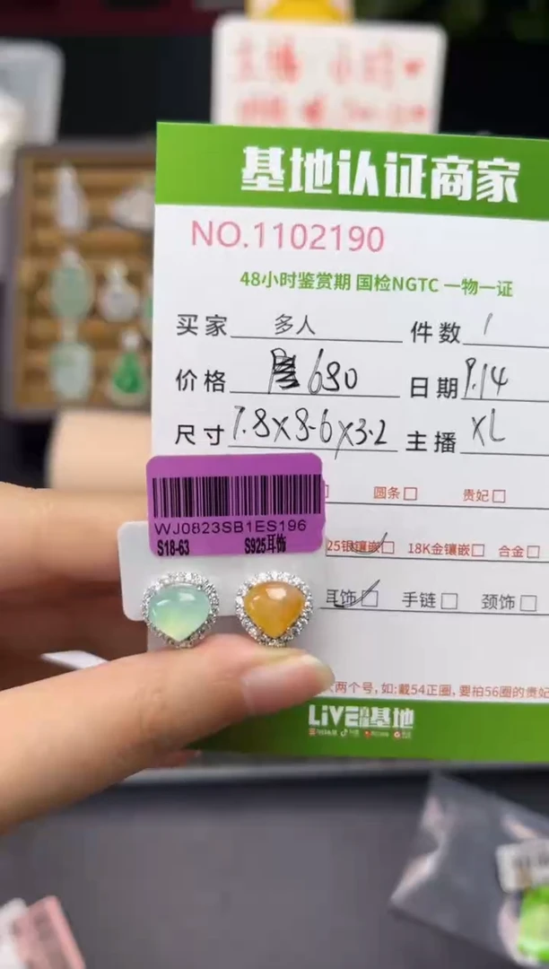银S925镶嵌翡翠耳饰多人