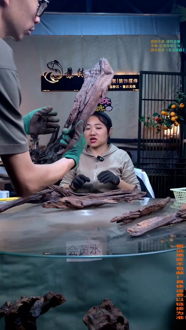 摆件景沐沉木B483 景沐沉木B483