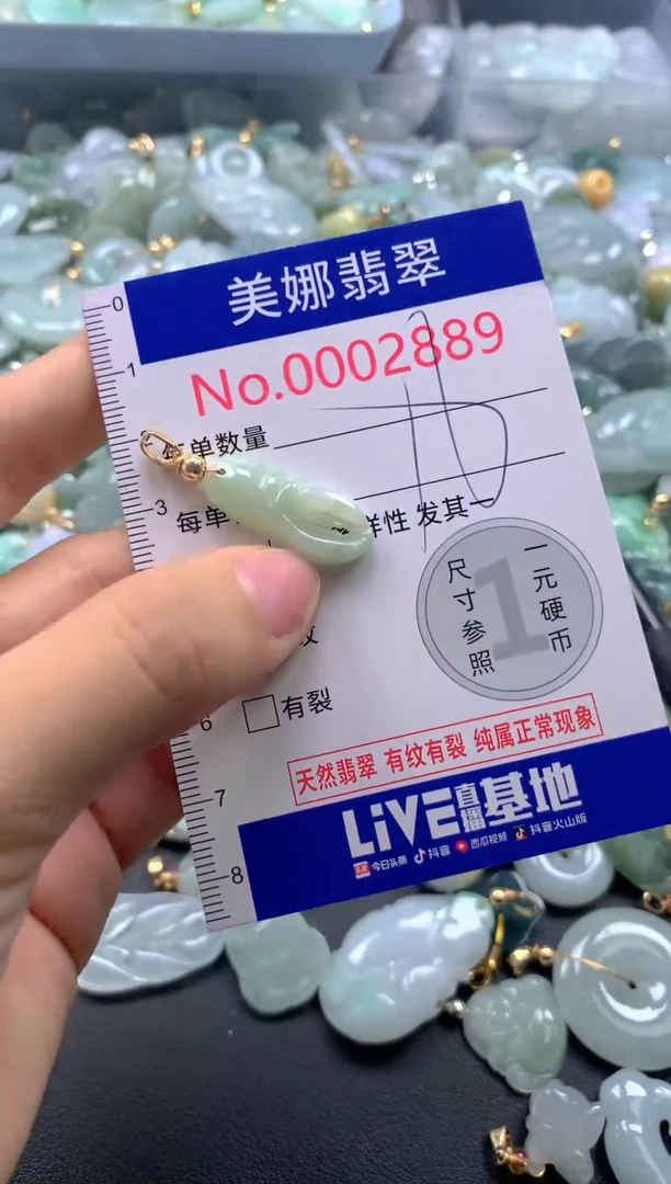 颈饰未镶嵌翡翠2889