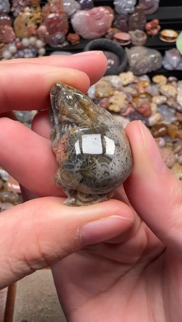 颈饰未镶嵌硅化珊瑚（珊瑚玉）583