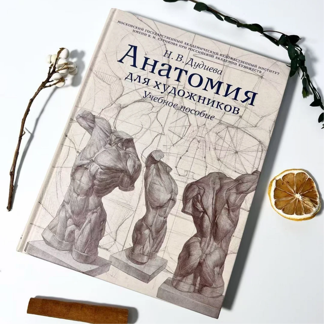 俄罗斯原版进口苏里科夫美术学院解剖教材