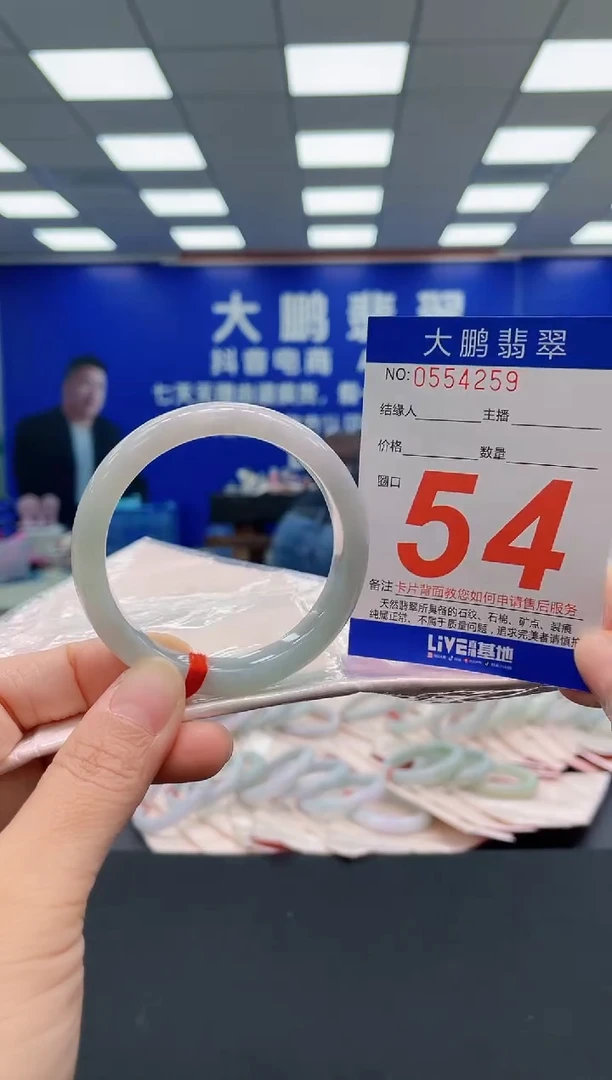 未镶嵌手镯翡翠AAAAAAAAA
