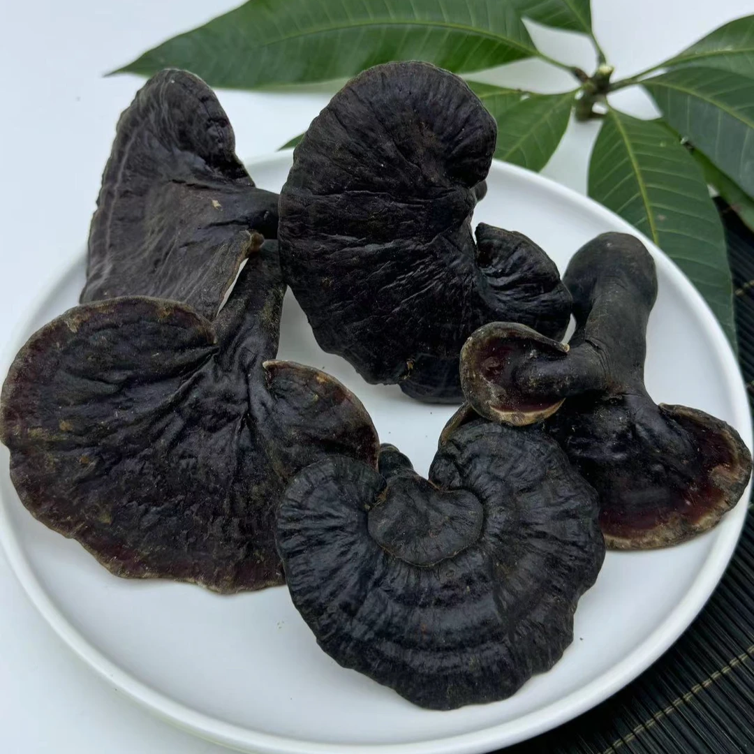 云南野黑灵芝天然整枝黑灵芝林芝干货新货深山2024