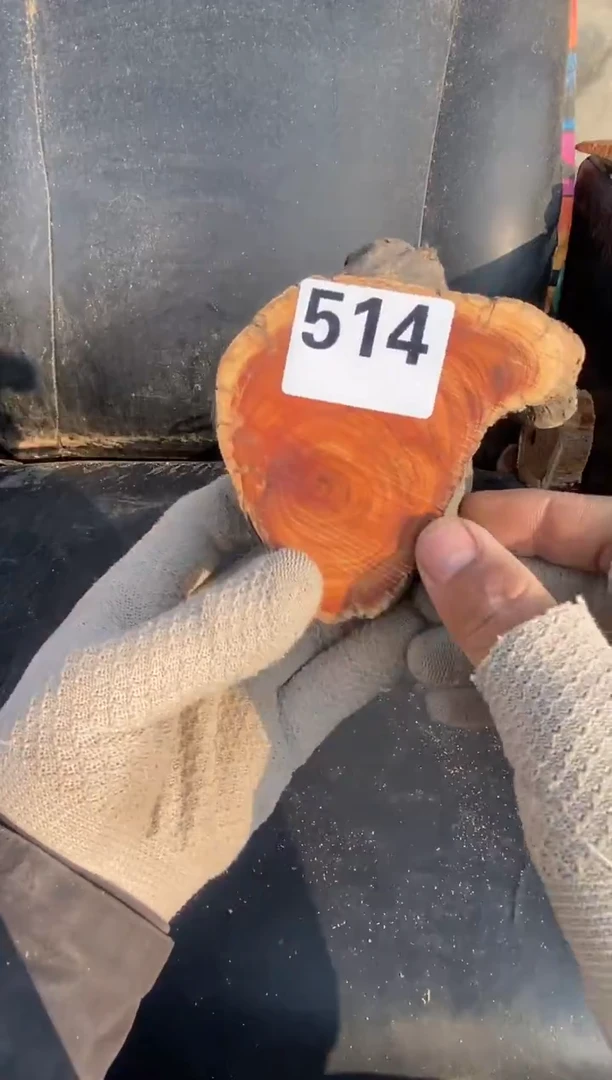 柏木（崖柏）太行成华崖柏切片！随机（1单1片）514