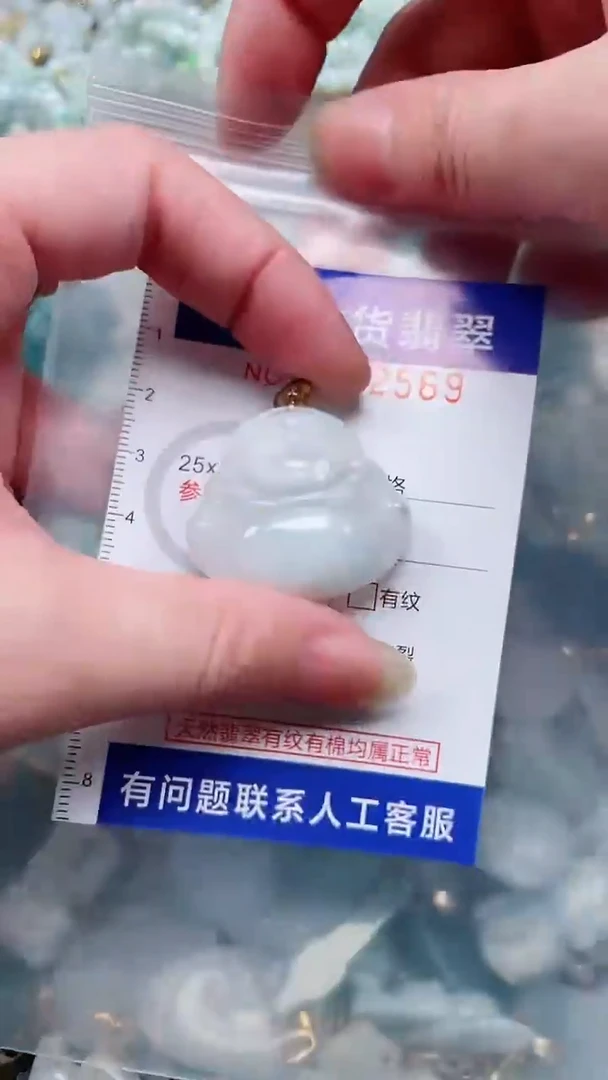 翡翠未镶嵌吊坠(不含链)1