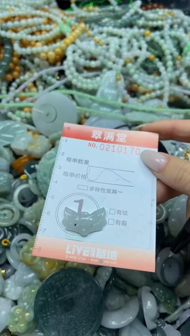 颈饰未镶嵌翡翠闪购0210170