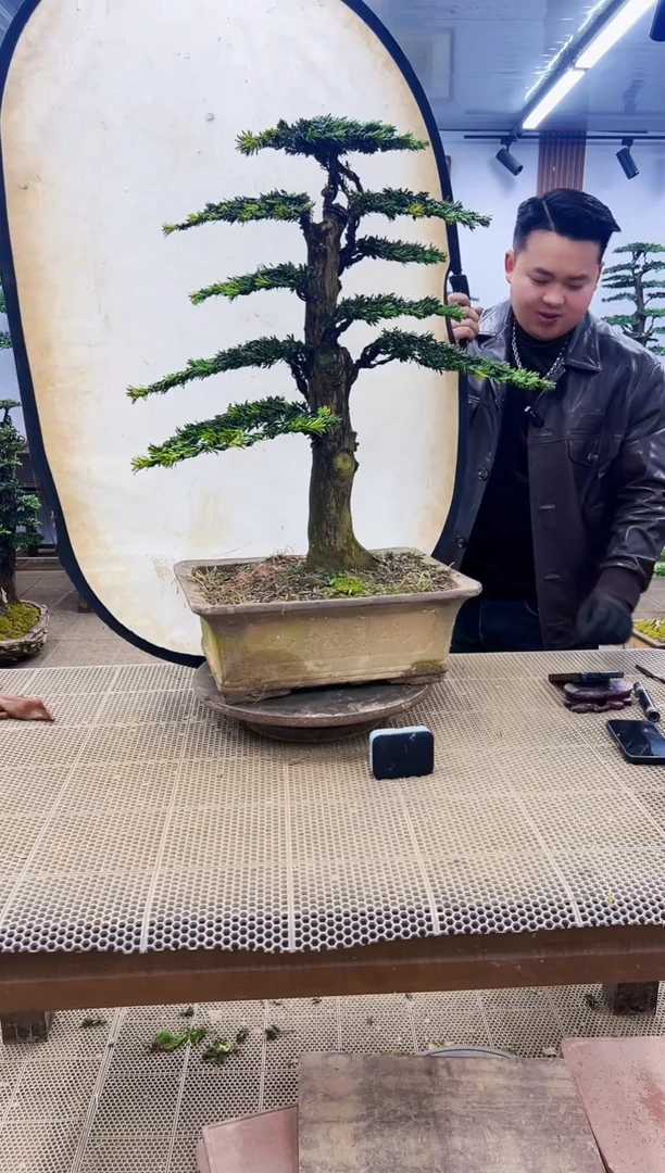 【闪购商品】00000000