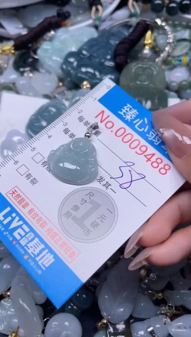 颈饰未镶嵌翡翠9488