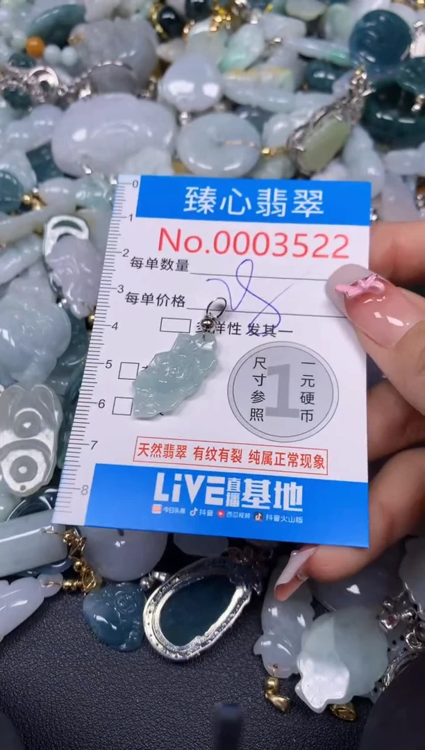 【闪购商品】翡翠颈饰未镶嵌含绳0003522