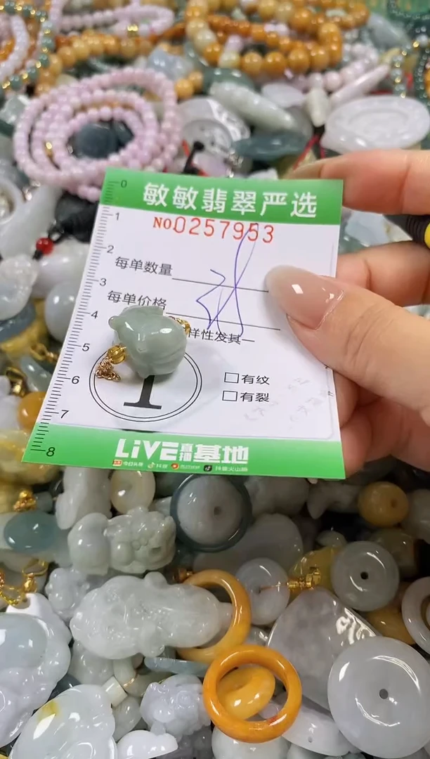 翡翠未镶嵌颈饰闪购0257953