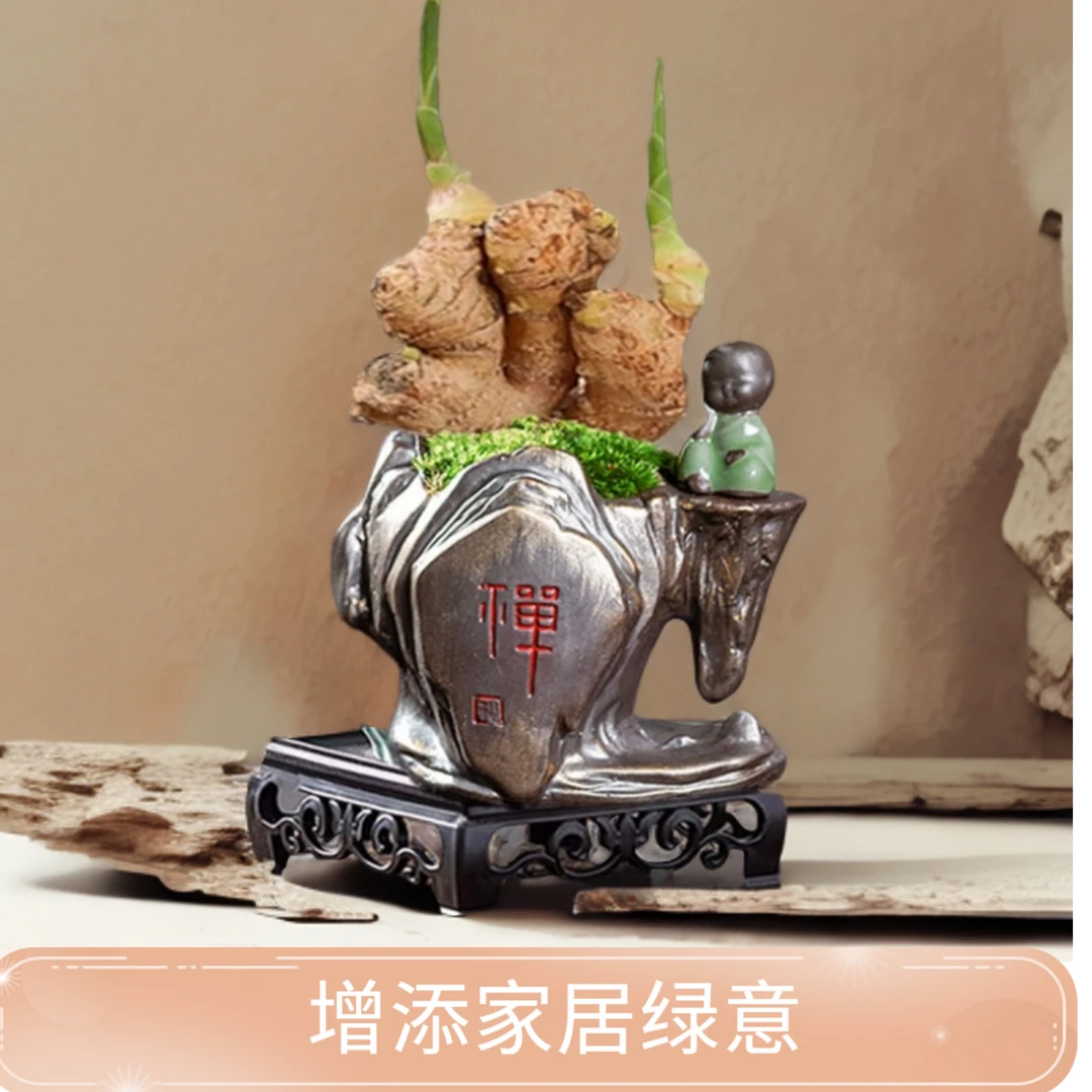 禄根盆栽带芽灵草四季好养不当生姜苗植物办公室内桌面小绿植盆景