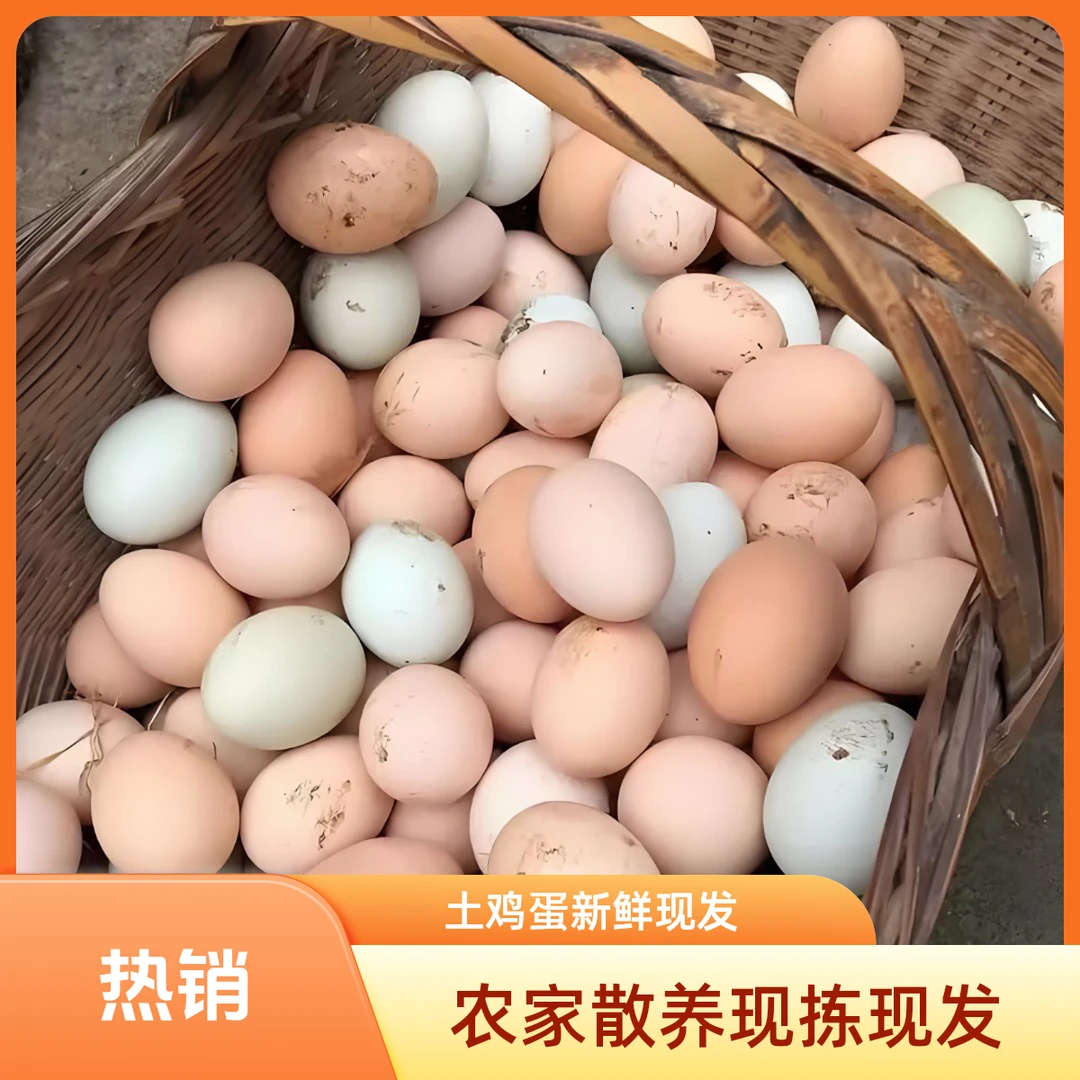 50枚土鸡蛋农家散养新鲜土鸡蛋粉绿混合现捡现发