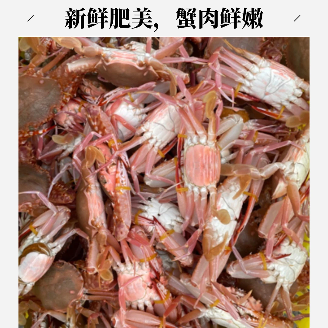【红毛丹】野生红毛丹螃蟹，活活打氧送出，包鲜不包活